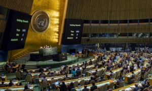 Asamblea General de la ONU