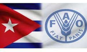 Ratifica la FAO su apoyo a Cuba