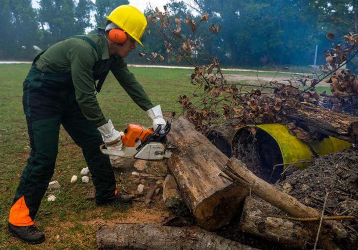 La poda adecuada de árboles (no mutilarlos) y la sistemática limpieza y recogida de la basura extraída de los tragantes figuran entre las medidas para disminuir vulnerabilidades.    