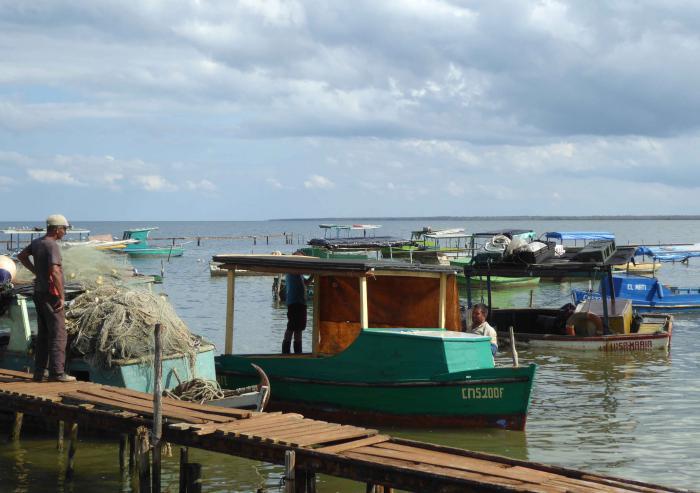 En el asentamiento costero de Puerto Piloto se ejecuta un proyecto para involucrar a sus pobladores de manera activa en un mejor manejo de los recursos pesqueros.