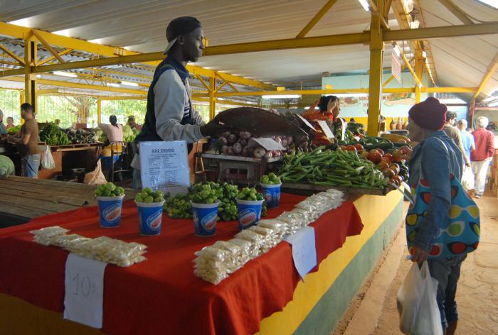 Recorridos por Mercados Agropecuarios. 19 y B