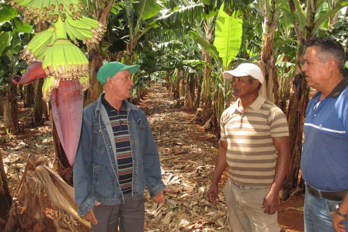 Cambimbo (al centro), escucha sugerencias de cómo lograr mejor desarrollo en las plantaciones. 