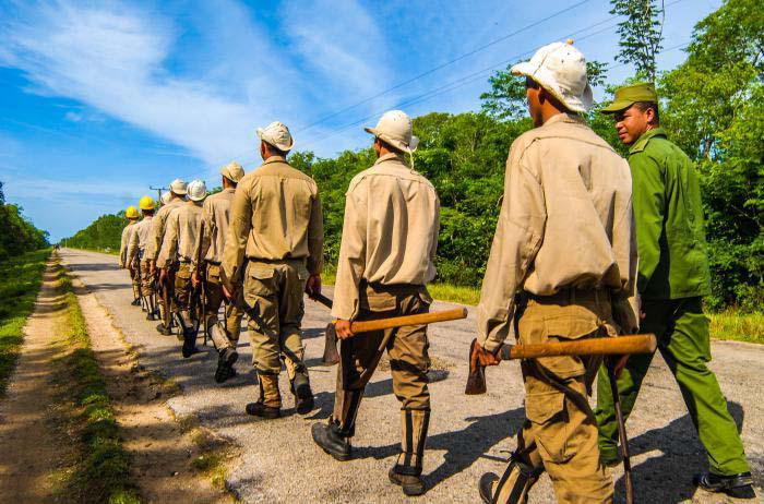 Desde bien temprano hacen las labores de limpia y aclareo de los bosques. 