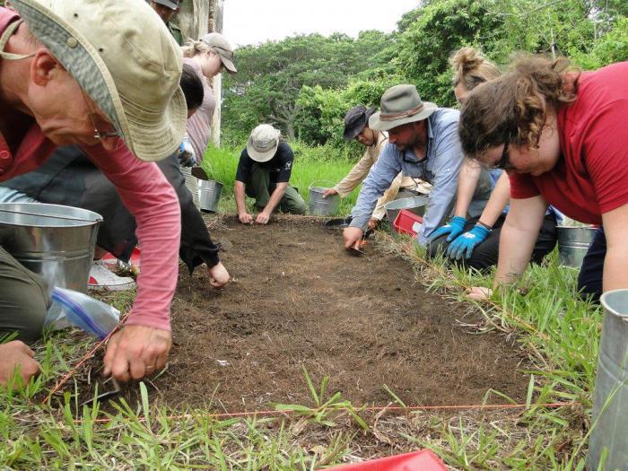 Miembros de la expedición cubano canadiense en plena faena de excavaciones arqueológicas en las ruinas del cafetal Angerona. 