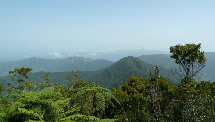 paisaje cubano