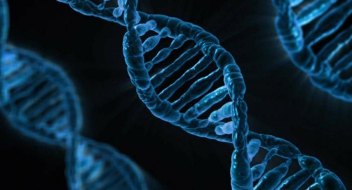 Genetistas desmienten un mito sobre la evolución humana