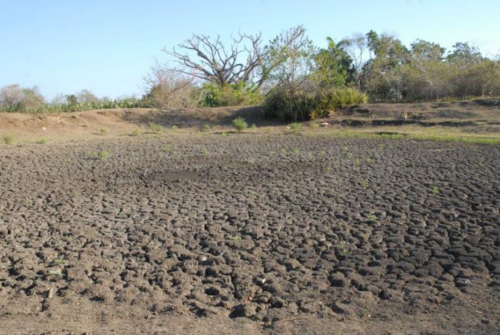 Cerca de 26 mil hectáreas de superficie cultivable están afectadas por la salinidad en Guantánamo.
