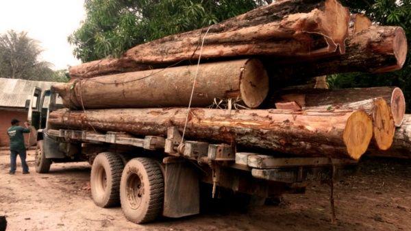 Jorginho Guajajara era miembro del grupo «Guardianes del Amazonas» 