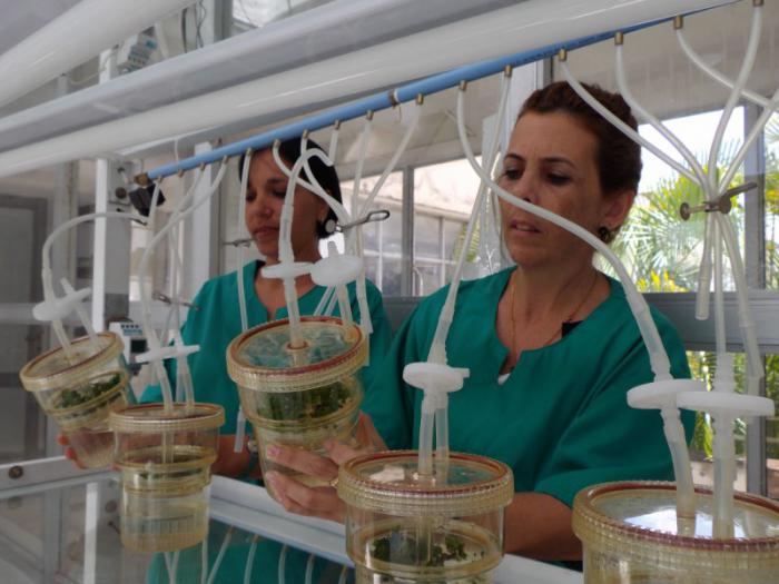 En la ciencia y la investigación está el futuro del país