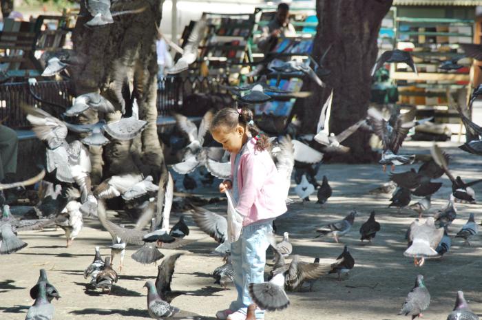 Plaza de Armas en La Habana Vieja.