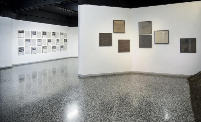 Exposición Estado natural, de Alex Hernández, en Galería Habana. foto de la autora