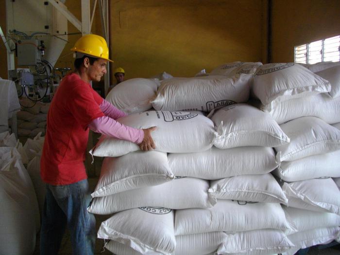 secadero de arroz en Cienfuegos