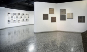 Exposición Estado natural