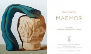  muestra personal de Michel Pérez  Pollo  Titulada Marmor