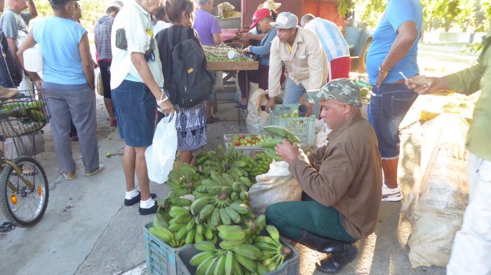 ferias agropecuarias en cienfuegos