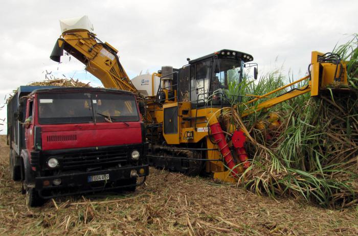 La alternativa para que los cañaverales vuelvan a convertirse en tesoro de la economía no reside tanto en el azúcar crudo, como en la producción de los llamados derivados.