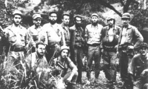Fuerzas del Movimiento 26 de Julio y del Directorio Revolucionario en El Pedrero