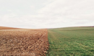 CLIMA DE LA TIERRA SE ASEMEJARÁ EN EL 2030 AL DE HACE TRES MILLONES DE AÑOS