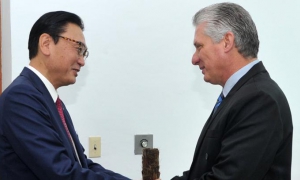 japón y cuba