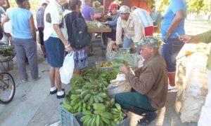 ferias agropecuarias en cienfuegos