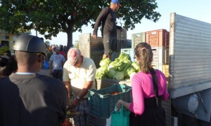 ferias agropecuarias en cienfuegos