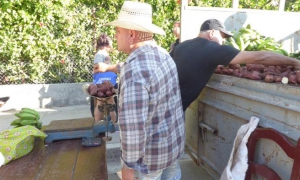 ferias agropecuarias en cienfuegos