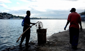 Rios que contaminan la Bahia de la Habana 
