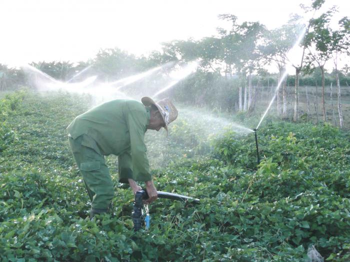 Agricultura- Riego
Agri2002