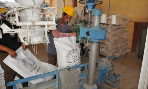 Culmina Cienfuegos inversiones del programa arrocero