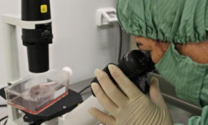 ciencia en Cuba