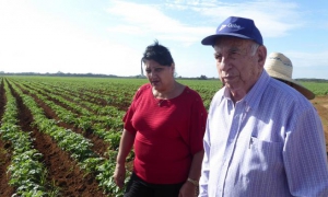 Machado Ventura