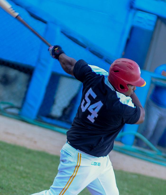 Entrenamiento del equipo Los leñadores de las Tunas para partir a la Serie del caribe, Alfredo Despaigne, Jardinero