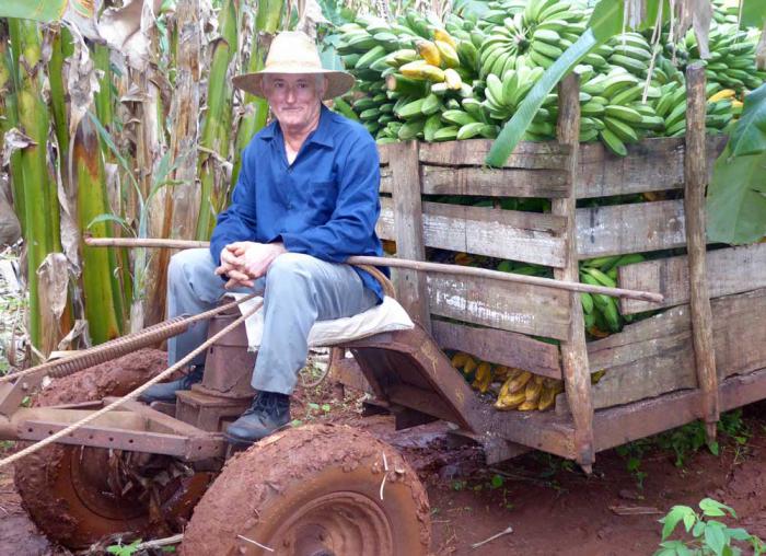 «Cuando el médico me dijo que me iba a morir, le eché mano a los medios biológicos, empecé a recibir instrucción con los técnicos y a ponerla en práctica», rememora Rodolfo