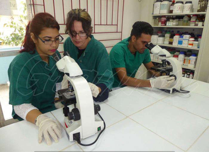 Todo el quehacer de la universidad camagüeyana va encaminado a la formación de profesionales competentes y patriotas. Foto del autor