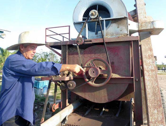 Máquinas como esta, construidas por los propios campesinos, han ayudado al incremento de las plantaciones. 