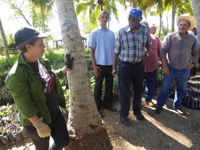En la ganadera Empresa Genética Manuel Fajardo, Salvador Valdés Mesa se interesó por los avances en el cultivo de plantas proteicas.