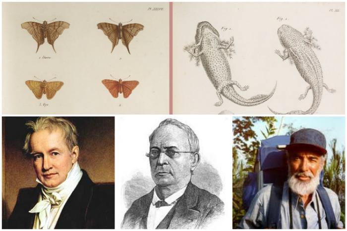 Taller de ilustración científica 