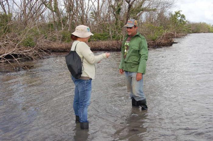 Los especialistas mantienen un constante monitoreo sobre la evolución del ecosistema. Foto: Cortesía del PNC