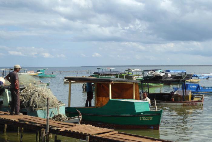 En la comunidad costera de Puerto Piloto se ejecuta un proyecto para involucrar a sus pobladores de manera activa en un mejor manejo de los recursos pesqueros.