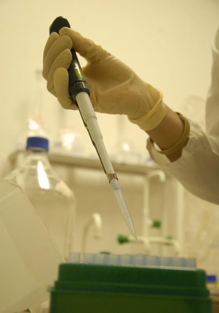 EVERPROT_ P; Centro de Ingienería Genética y Biotecnología (CIGB), Laboratorio de Cromatografía