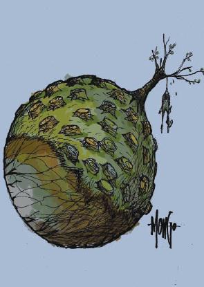 Tarea Vida señala el camino frente al cambio climático.

