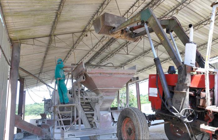 El pienso criollo, enviado en mayor medida a las vaquerías, se confecciona sobre la base de desechos de cosecha.