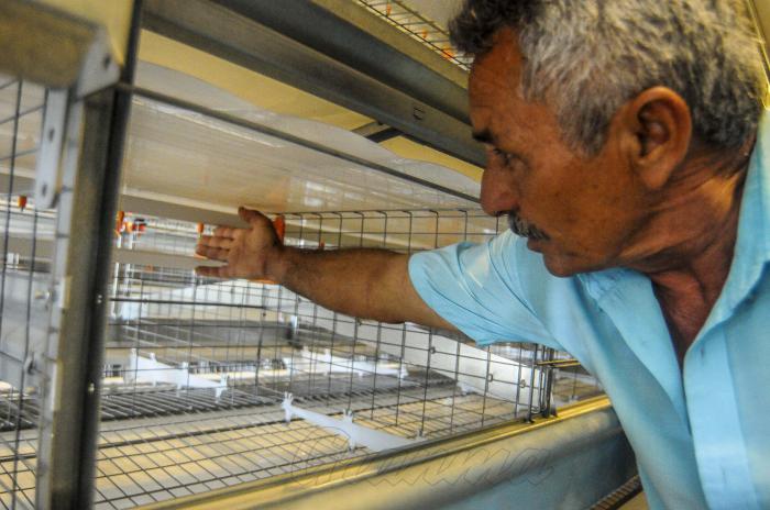 Empresa Avicola de Pinar del Rio UEB: Logistica Unidad 28 de Enero Cambio Tecnologico.Planta Productora de Huevo.