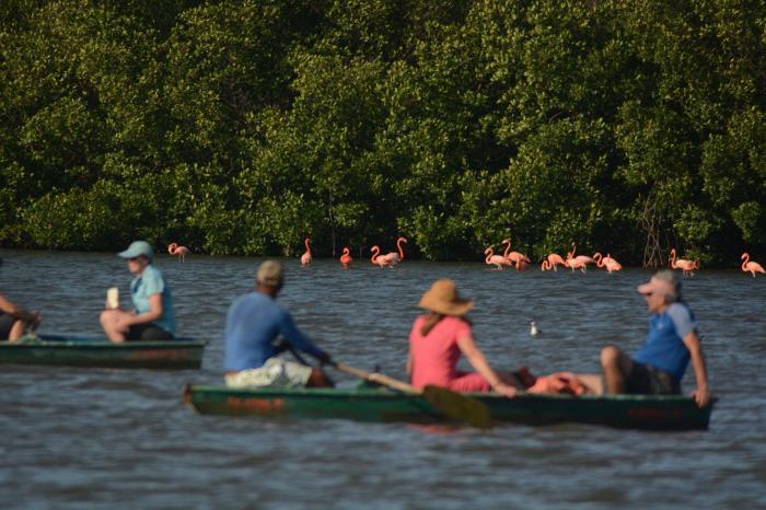 Área Protegida de Refugio Laguna de Guanaroca-Punta Gavilanes- El Escambray parece estar más cerca, al apreciarse desde los paseos en bote (foto opcional) turismo de naturaleza