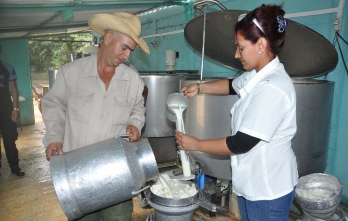 La cuidadosa manipulación de los alimentos y la verificación de su calidad elimina riesgos para el bienestar humano. Foto: Vicente Brito