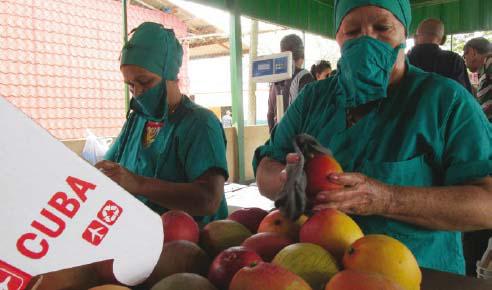 La Mayor de las Antillas es miembro fundador y Estado parte en 90 convenios de la OIT. 