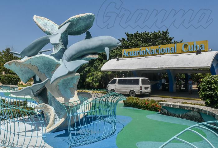 Acuario Nacional de Cuba, playa