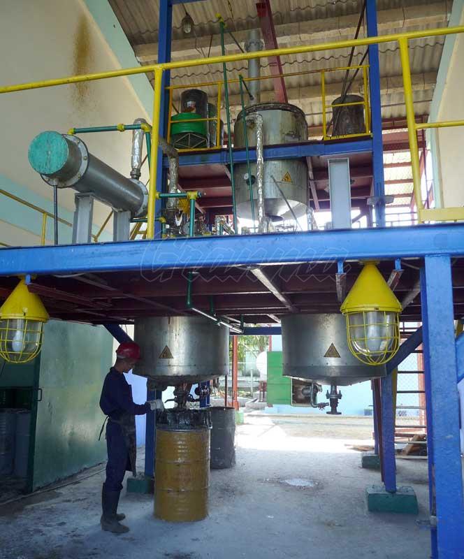 La destilación de la resina de pino permite obtener la cera para el recubrimiento de frutas y vegetales. 
Fotos del autor