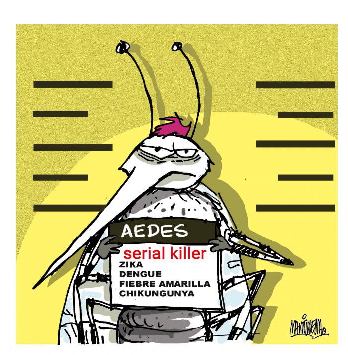 Solo sin criaderos no habrá mosquitos, ni dengue.