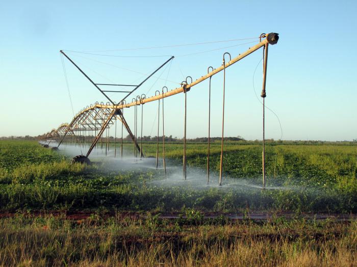 Casi la totalidad de los sistemas de riego en el sector agrícola se abastecen del agua subterránea.